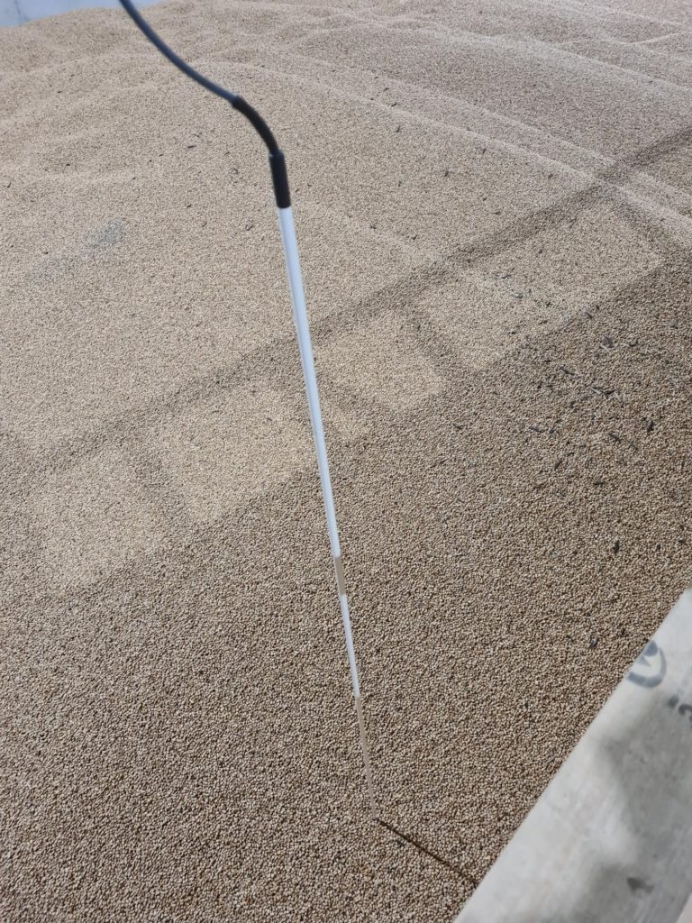 Grain Temperature Spears